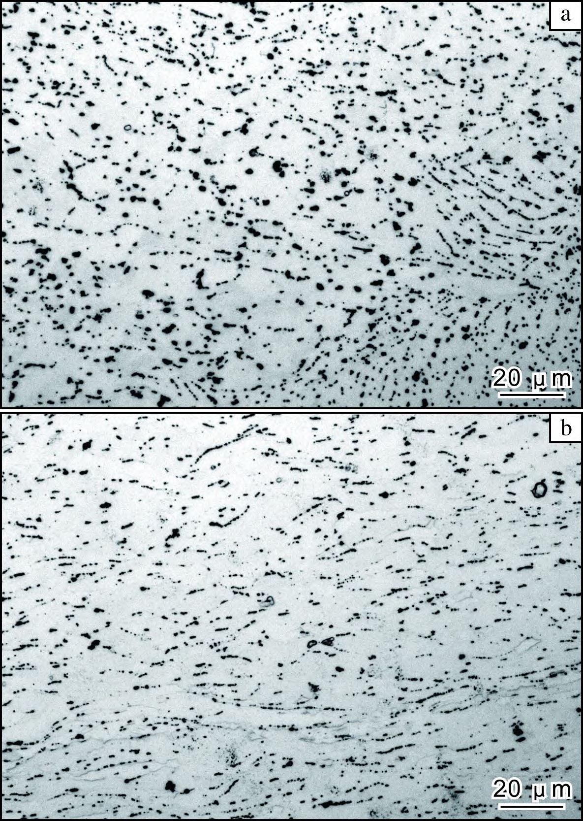 1709634952147344.jpg