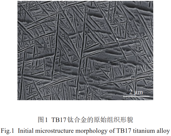 1776758577637704.png